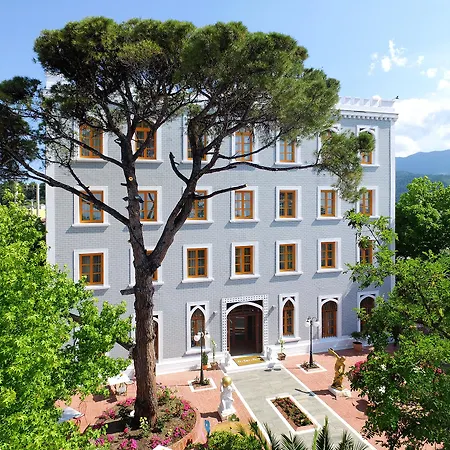 A For Art لايميناس