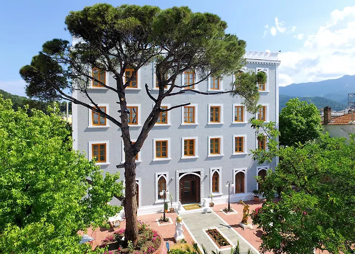 A For Art Limenas (Thasos)